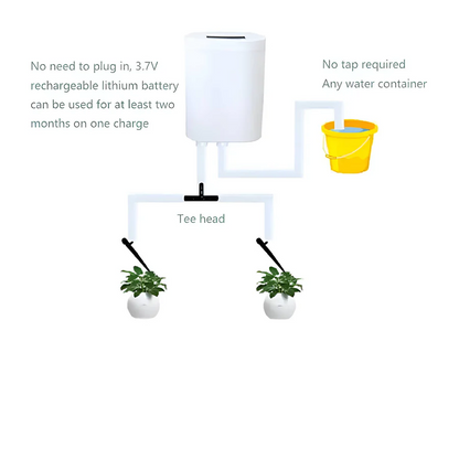 Avelena | Automatischer Bewässerungspumpenregler
