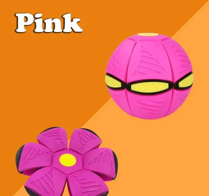 Avelena | Interaktive Hundescheibenball