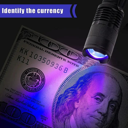 Avelena | LED UV-Zaklamp - Ultraviolette Inspektionslampe für Haustierurin und Fleckenerkennung