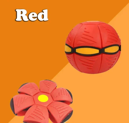 Avelena | Interaktive Hundescheibenball