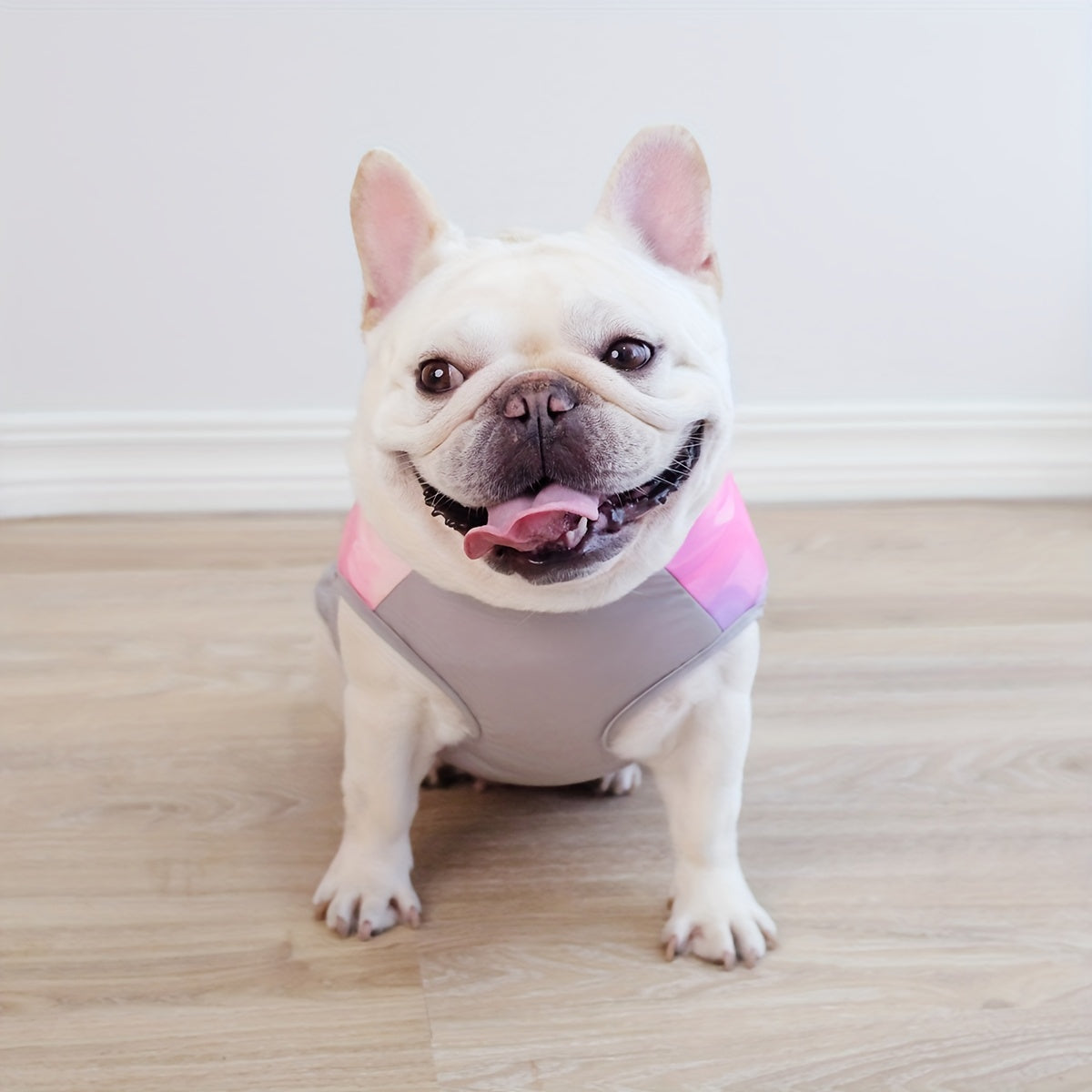 Avelena | Arcticpaw Frenchie Warme Jacke Wasserdicht Winter Gemütliche Jacke Mit Leine Seil
