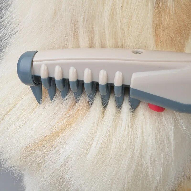 Avelena | Elektrischer Trimmer für Hunde & Katzen Rextrim
