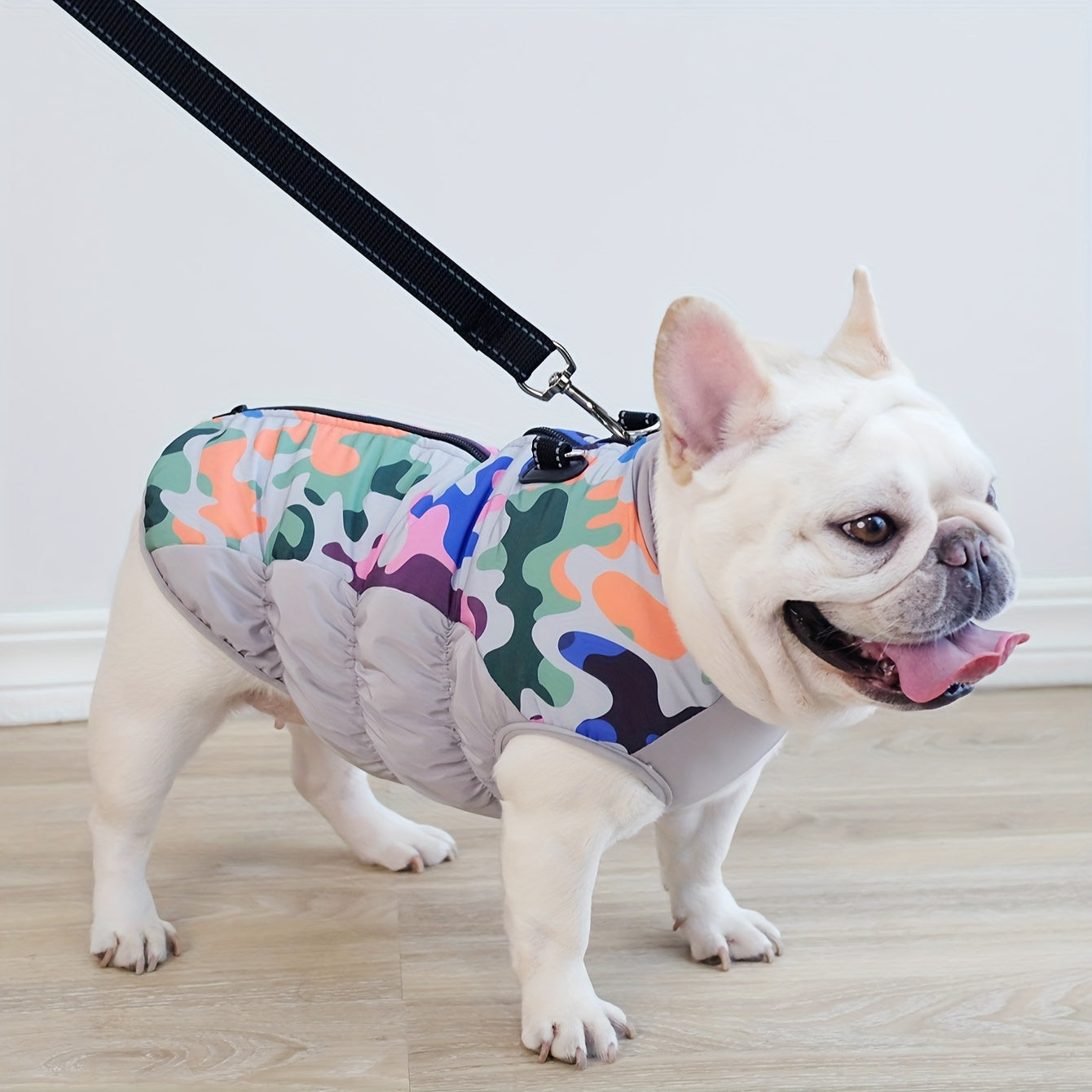 Avelena | Arcticpaw Frenchie Warme Jacke Wasserdicht Winter Gemütliche Jacke Mit Leine Seil