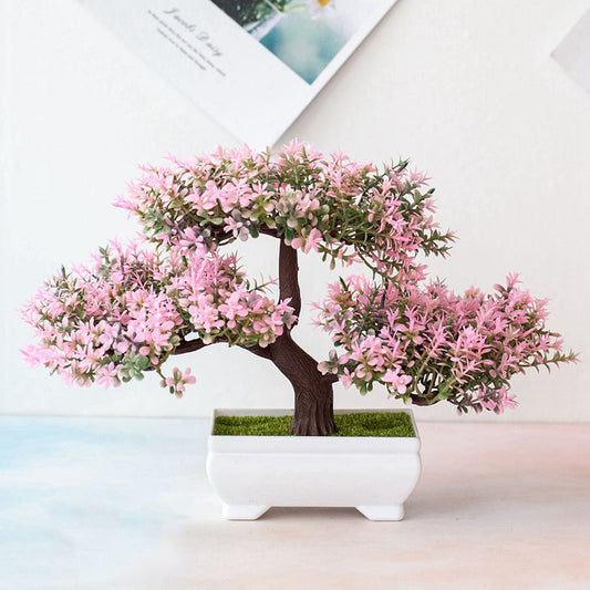Avelena | Pflanzen Bonsai