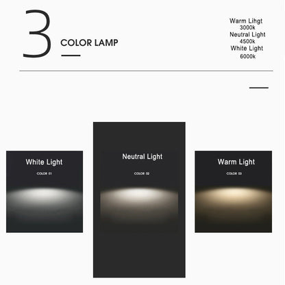 Avelena | Moderne Acryl Kreativ Flamme Design LED Wandleuchte