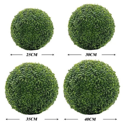 Avelena | Pflanzenform Schnittball
