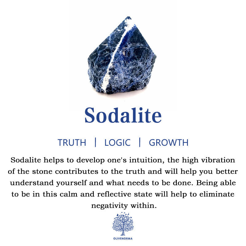 Avelena | Frendorf 2,5 Zoll Kristall Dinosaurier Zuhause Dekoration Edelstein Deko