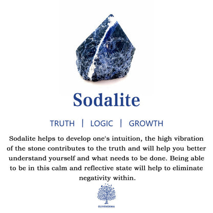 Avelena | Frendorf 2,5 Zoll Kristall Dinosaurier Zuhause Dekoration Edelstein Deko