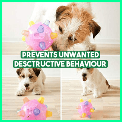 Avelena | FreudeSpringen Unaufhaltsame Verfolgungsjagd Zeit