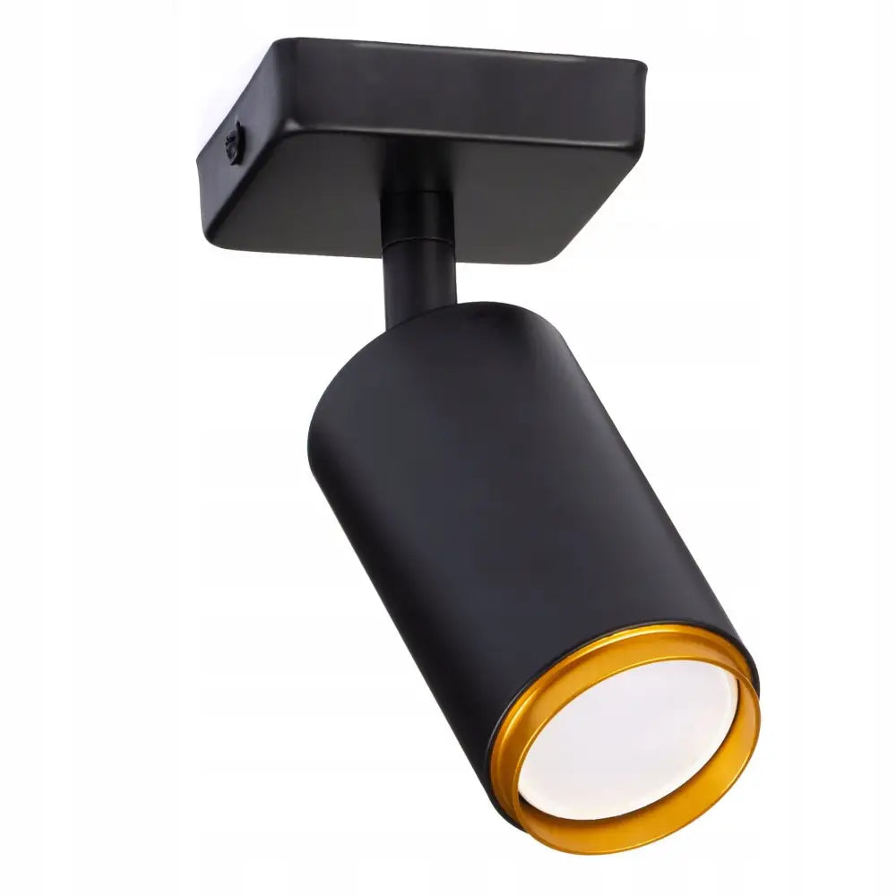 Avelena | Einfach Spot Light Tuba Deckenleuchte In Schwarz