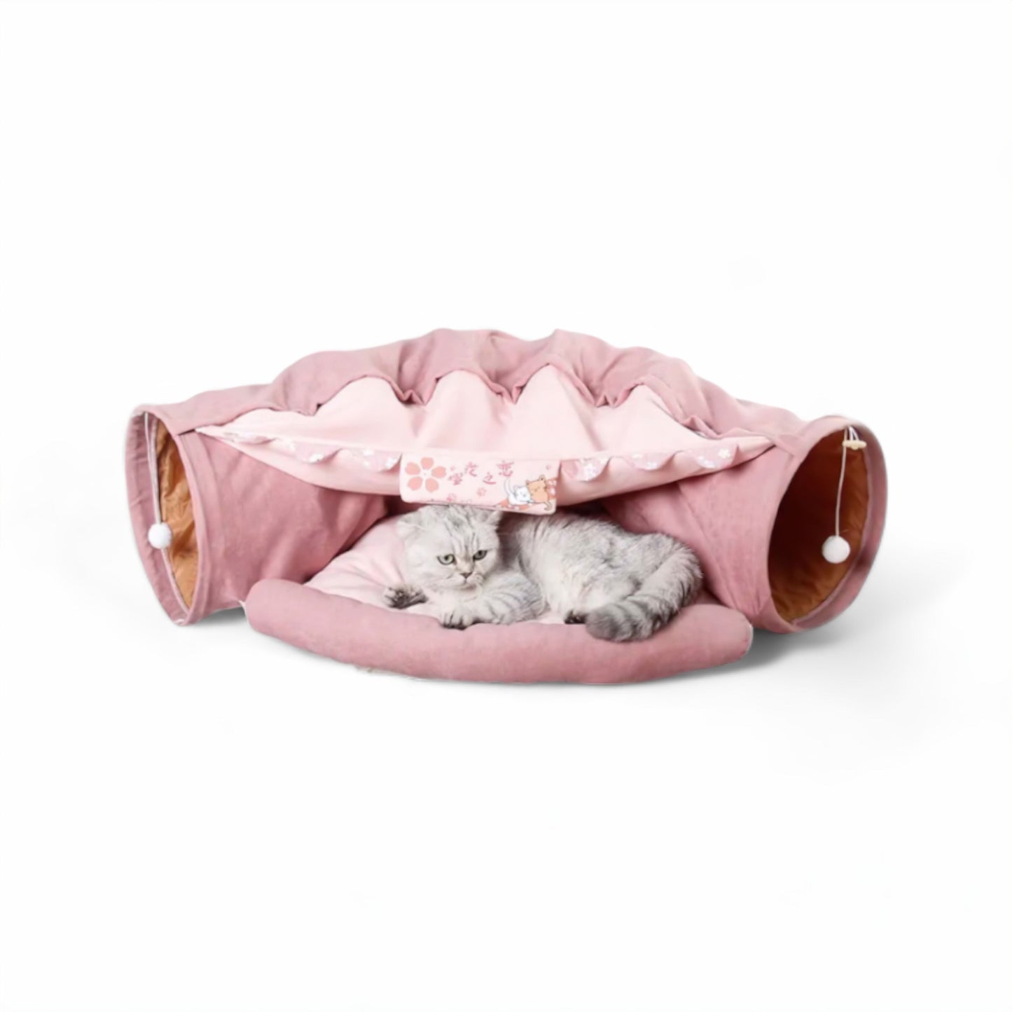 Avelena | Feline Fun House Haven