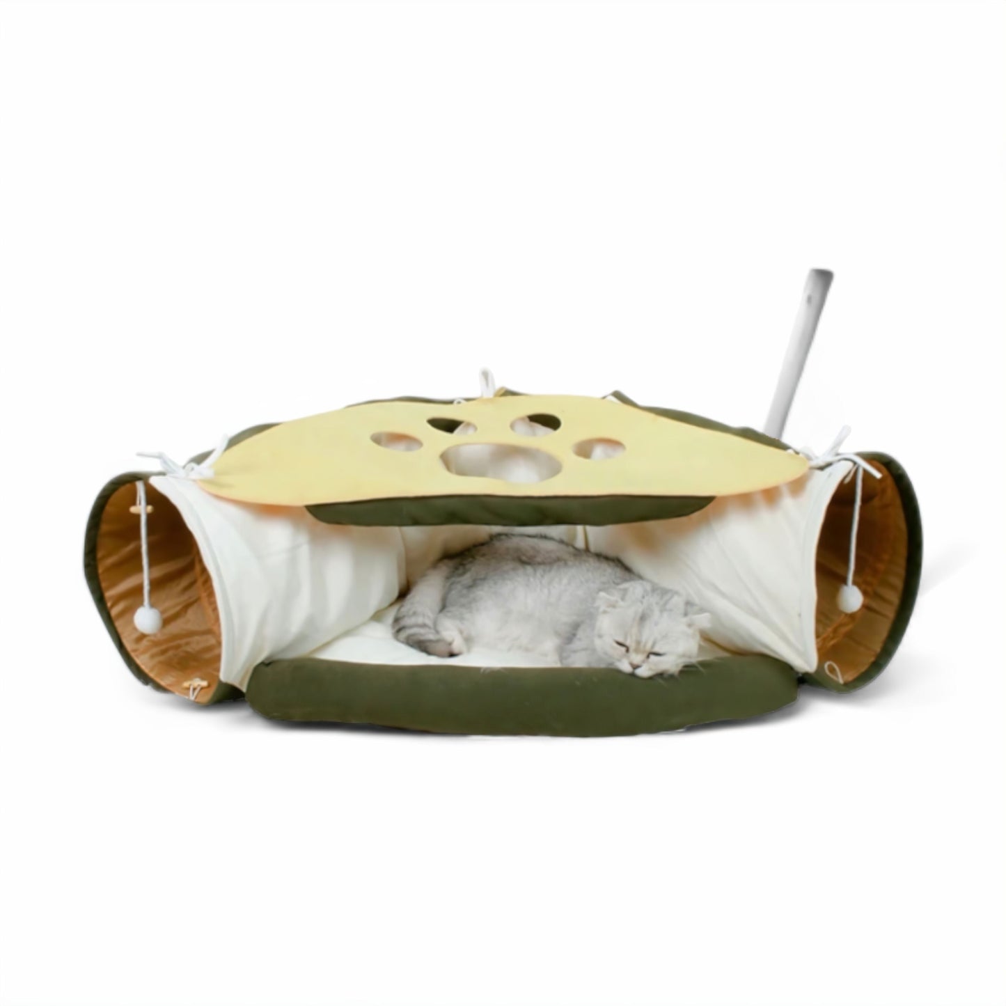 Avelena | Feline Fun House Haven