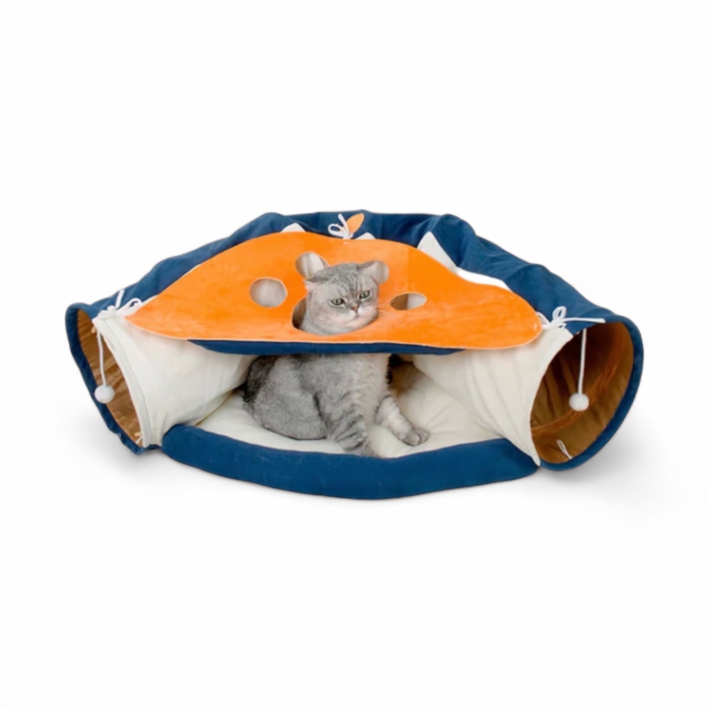 Avelena | Feline Fun House Haven