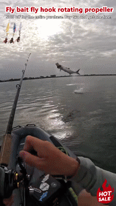 Avelena | Einfache Angelköder