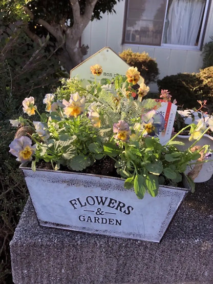 Avelena | Dekorativer Blumen- und Gartenbehälter aus Metall mit Hanfseilgriffen