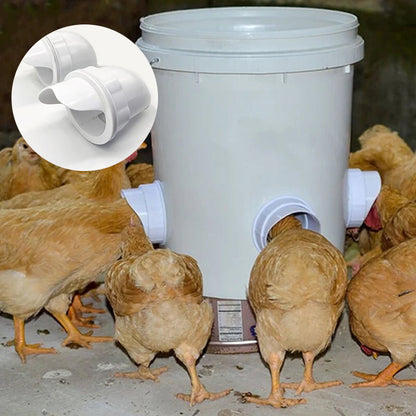 Avelena | Kit Spezialwerkzeug Für Die Zucht Von Hühnern, Enten Und Geflügelzubehör