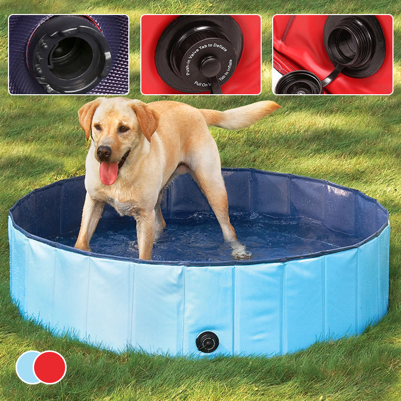 Avelena | Paw Pool