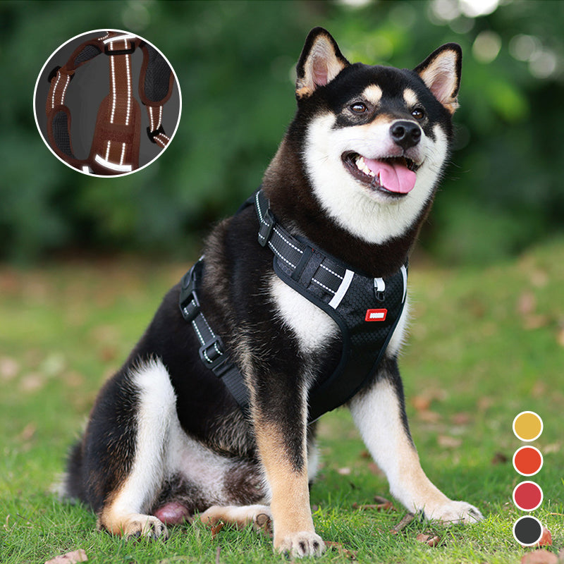 Avelena | Hundegeschirr