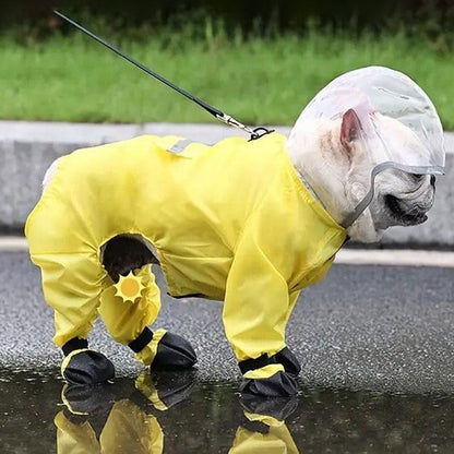 Avelena | Aquatail Frenchie Regenmantel Mit Integrierten Booties Und Kapuze