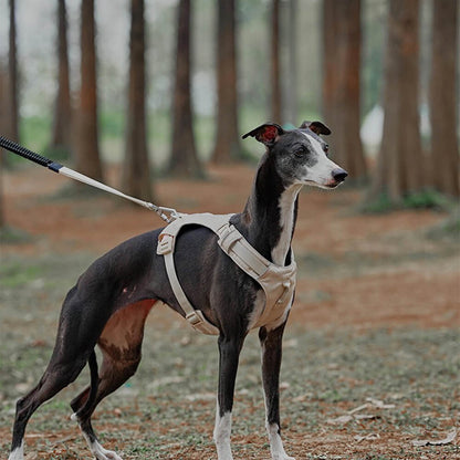 Avelena | Anti-Zieh-Hundegeschirr mit Multifunktions-Leine Aquacool
