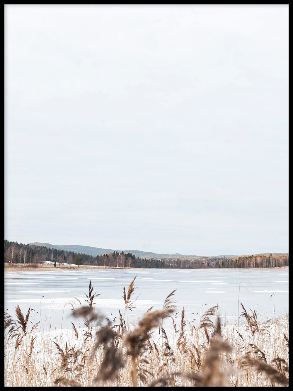 Avelena | Gras Am See