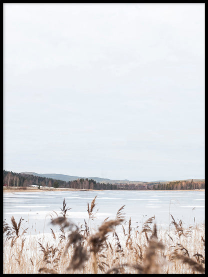 Avelena | Gras Am See