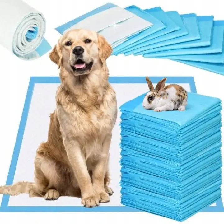 Avelena | Hygienische Unterlagen für Hunde Urinmatten 60X60 100Stk für Hund und Haustier