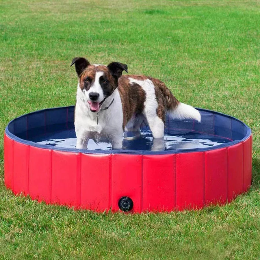 Avelena | Zusammenklappbarer Hundepool
