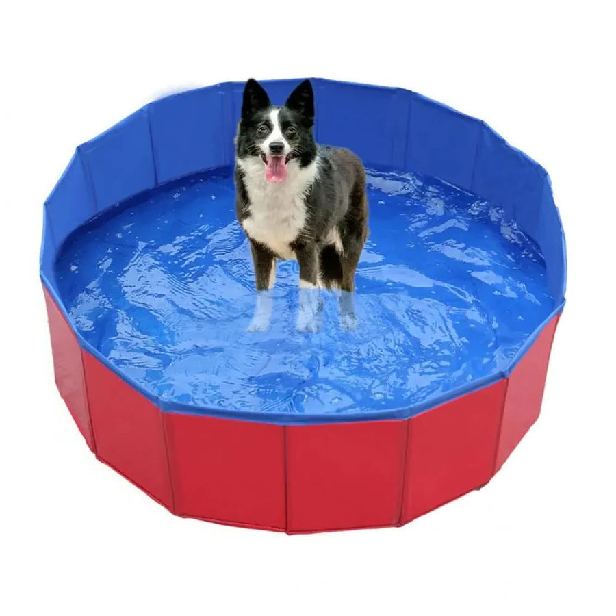 Avelena | Zusammenklappbarer Hundepool