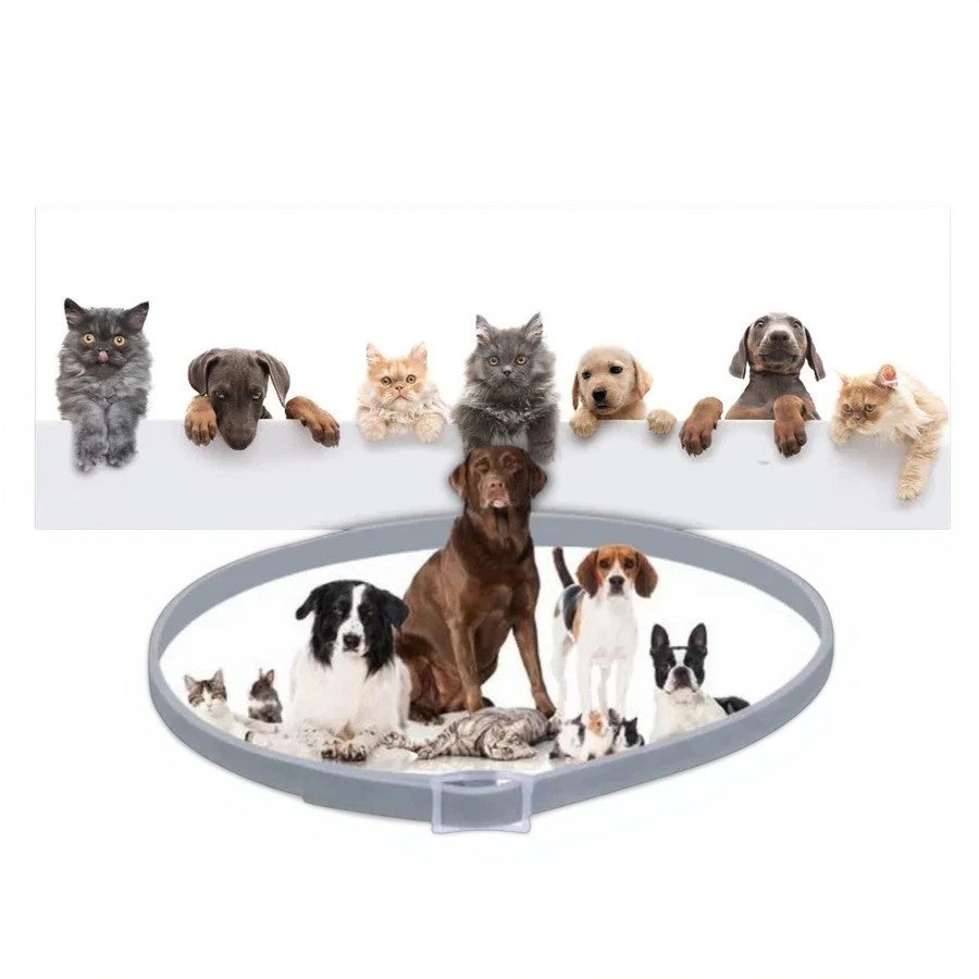 Avelena | Verstellbarer Floh- und Zeckenabwehrhalsband – Für Hunde und Katzen, Wasserabweisend