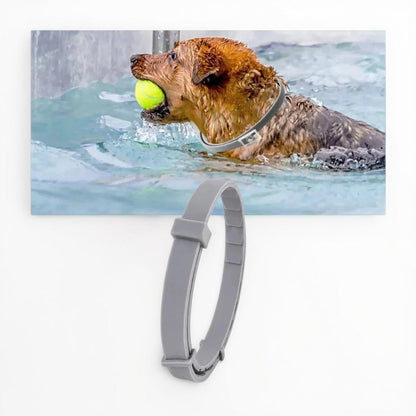 Avelena | Verstellbarer Floh- und Zeckenabwehrhalsband – Für Hunde und Katzen, Wasserabweisend