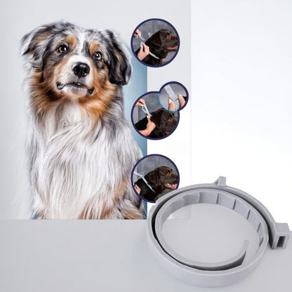 Avelena | Verstellbarer Floh- und Zeckenabwehrhalsband – Für Hunde und Katzen, Wasserabweisend