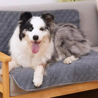 Avelena | Wiederverwendbare und Einweg-Hundetrainings-Pinkeleinlagen