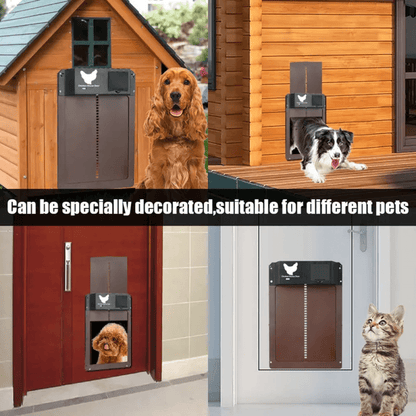 Avelena | Automatische Hühnergehege Hühnerstall Geflügel Türöffner