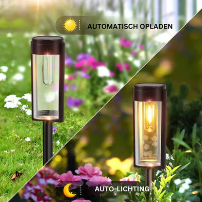 Avelena | Luxus Solarenergie Padbeleuchtung für Garten