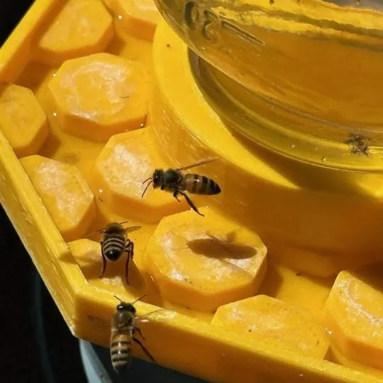 Avelena | BienenQuelle Bienenfreundliche Wasserquelle