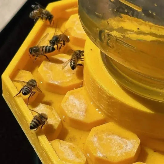 Avelena | BienenQuelle Bienenfreundliche Wasserquelle