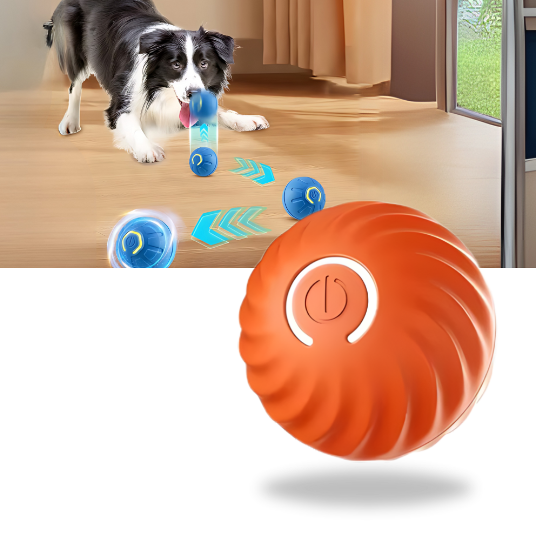 Avelena | Interactive Smart Dog Ball Toy