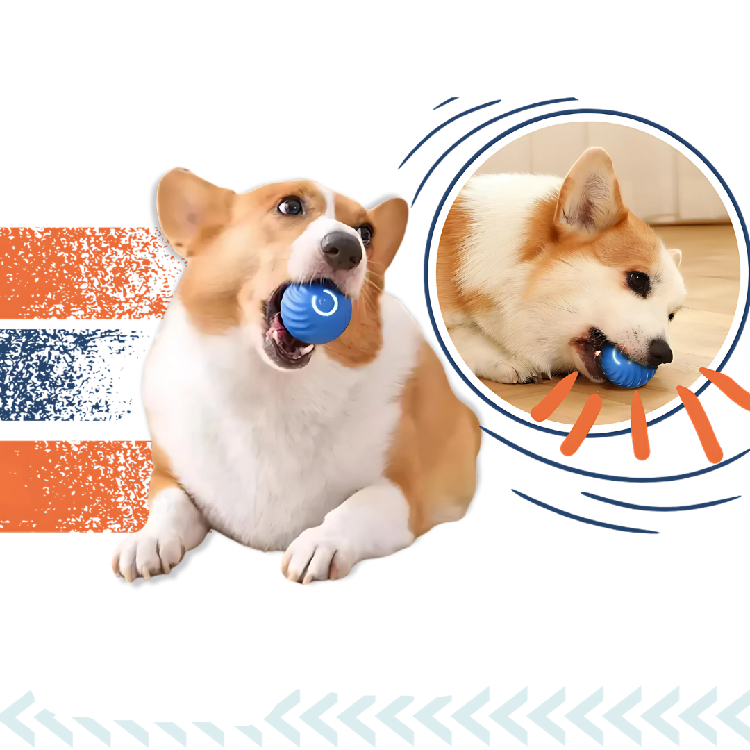 Avelena | Interactive Smart Dog Ball Toy