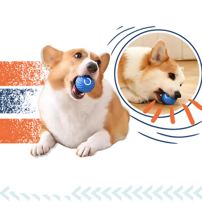 Avelena | Interactive Smart Dog Ball Toy