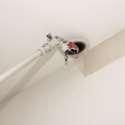 Avelena | EdgeMeister – Makellose Farbkanten in Rekordzeit