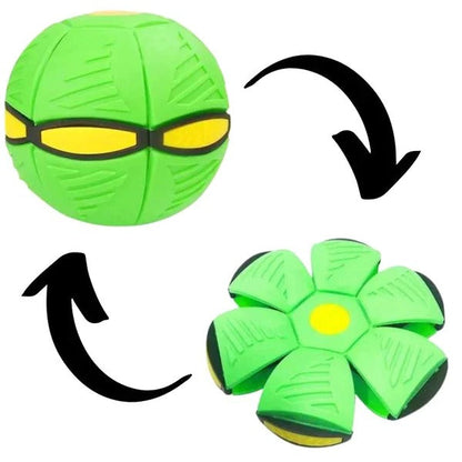 Avelena | Interaktive Hundescheibenball