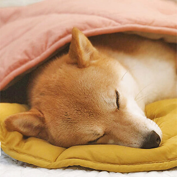 Avelena | Blätter Hundedecke Stilvoll und Bequem