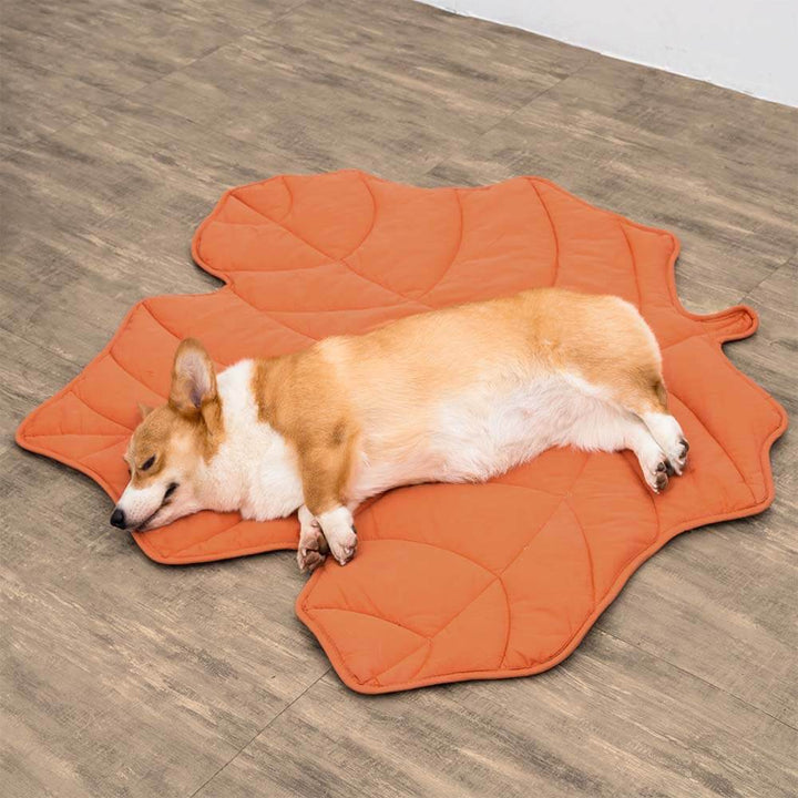 Avelena | Blätter Hundedecke Stilvoll und Bequem