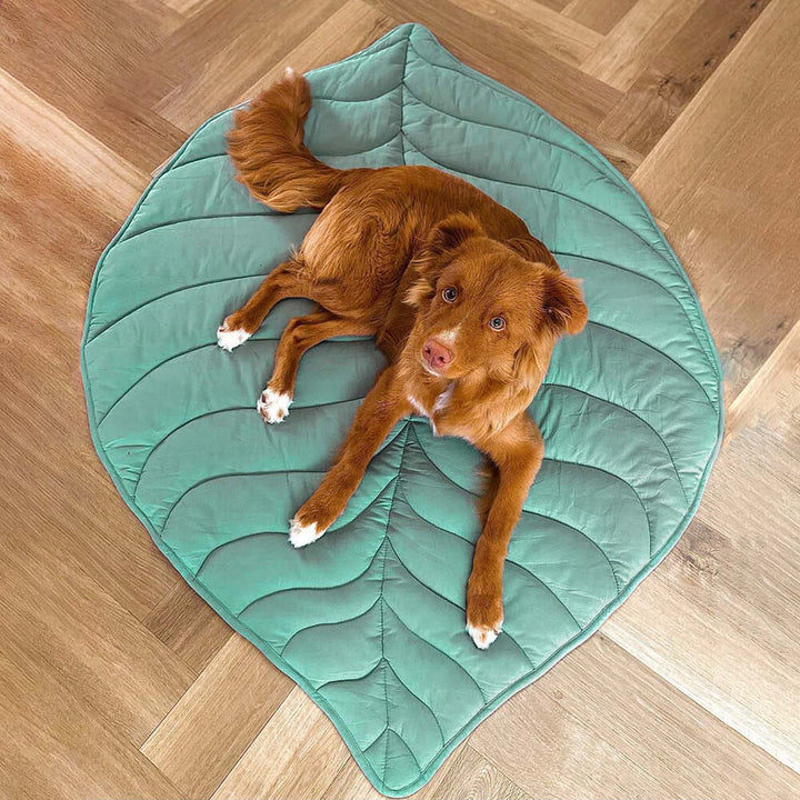 Avelena | Blätter Hundedecke Stilvoll und Bequem
