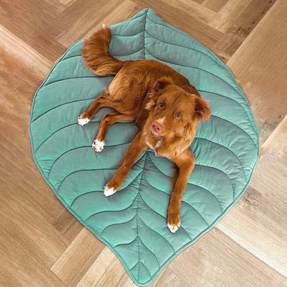 Avelena | Blätter Hundedecke Stilvoll und Bequem