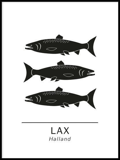 Avelena | Lachs Die Offiziellen Tiere In Halland, Schweden.