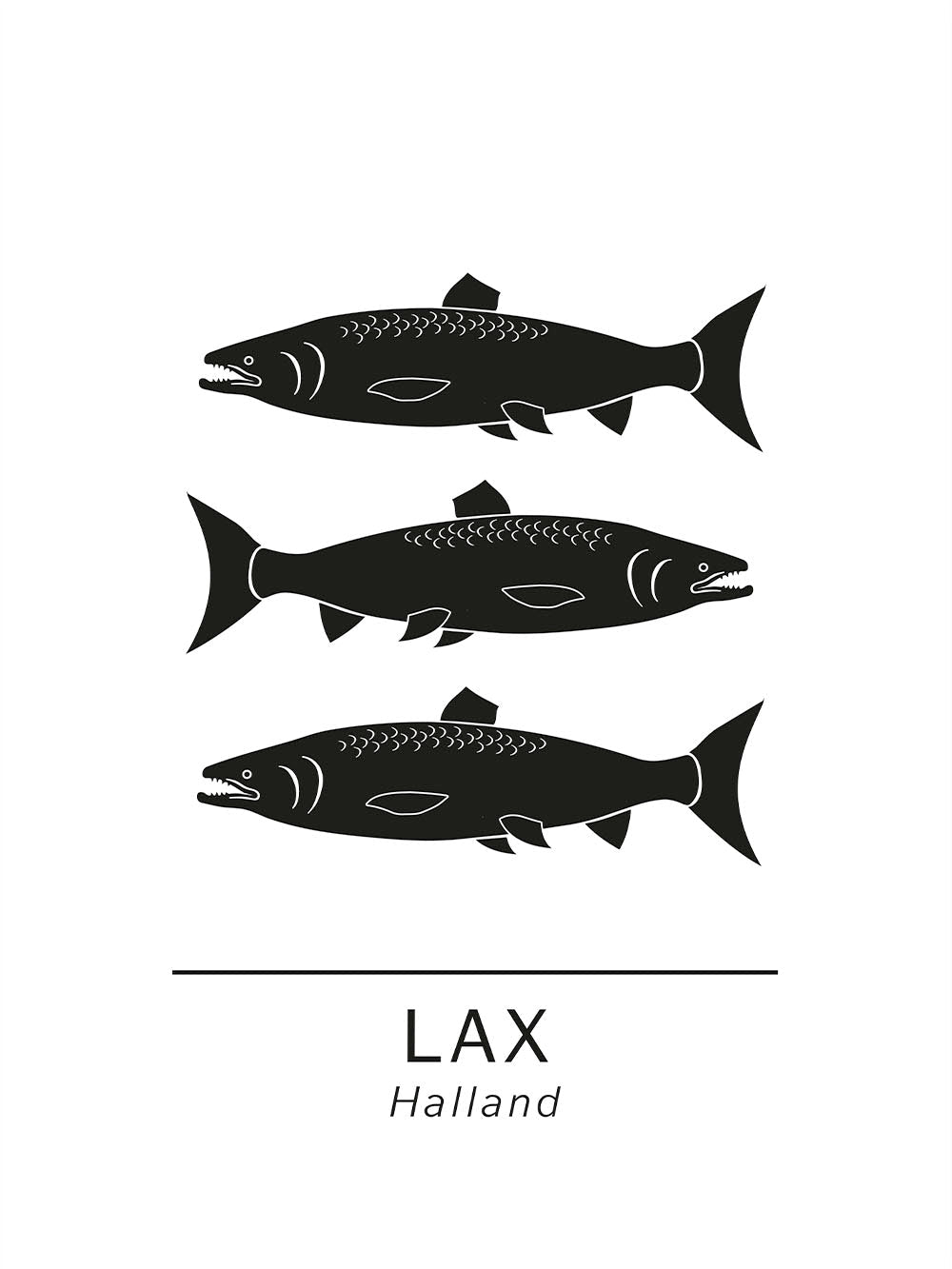 Avelena | Lachs Die Offiziellen Tiere In Halland, Schweden.