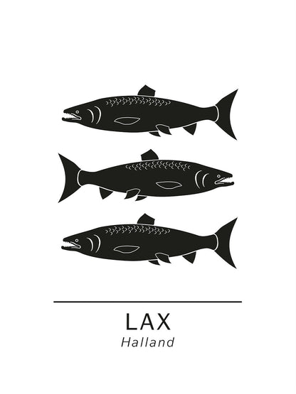 Avelena | Lachs Die Offiziellen Tiere In Halland, Schweden.