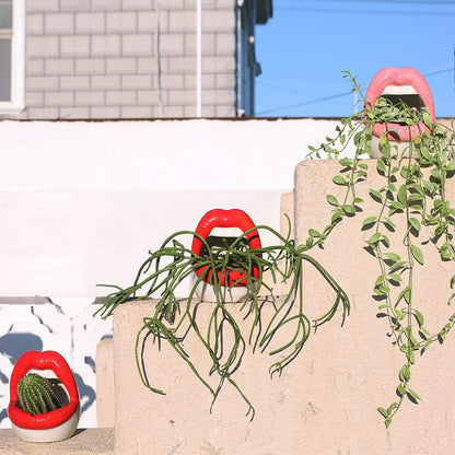 Avelena | Lips Blumen Topf